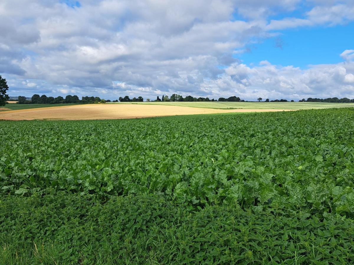 Steef'S Vakantiehuis Zuid Limburg Simpelveld Buitenkant foto